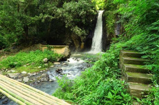 Andy'S Lodge Kelimutu Εξωτερικό φωτογραφία