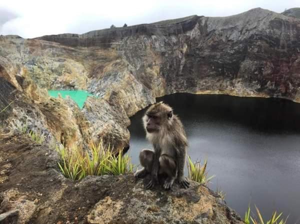 Andy'S Lodge Kelimutu Εξωτερικό φωτογραφία